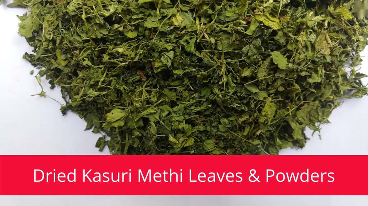 Dried Kasuri Methi Leaves & Powder - Bulk Supplier & Manufacturer