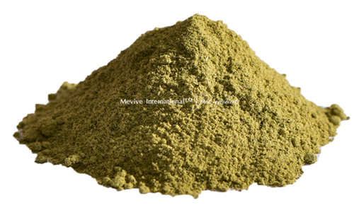 Dried Coriander Leaf Powder Suppliers and Exporters